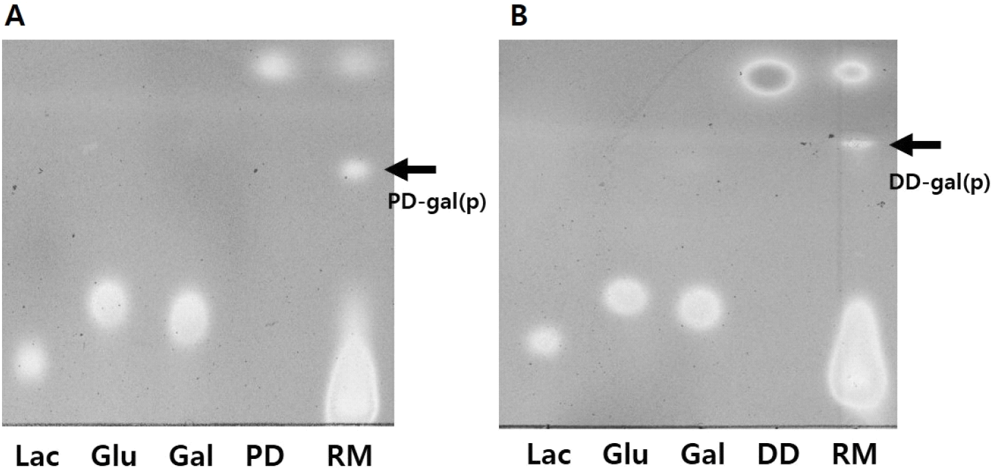 jbb-10-0-1-g1