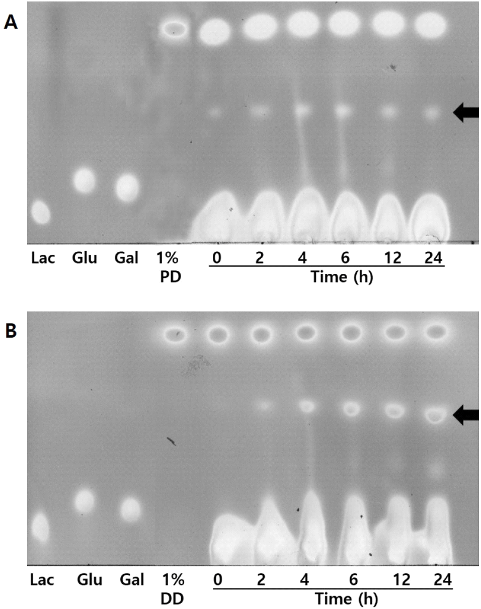 jbb-10-0-1-g5